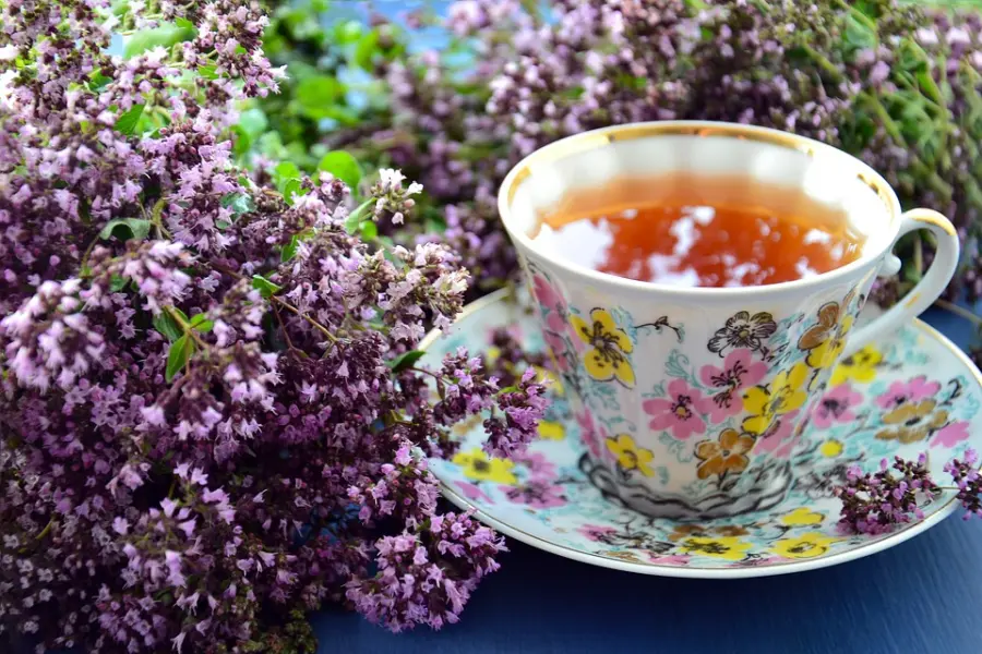 Tisane depurative fatte in casa: ricette facilissime e per tutti i gusti