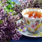 Tisane depurative fatte in casa: ricette facilissime e per tutti i gusti